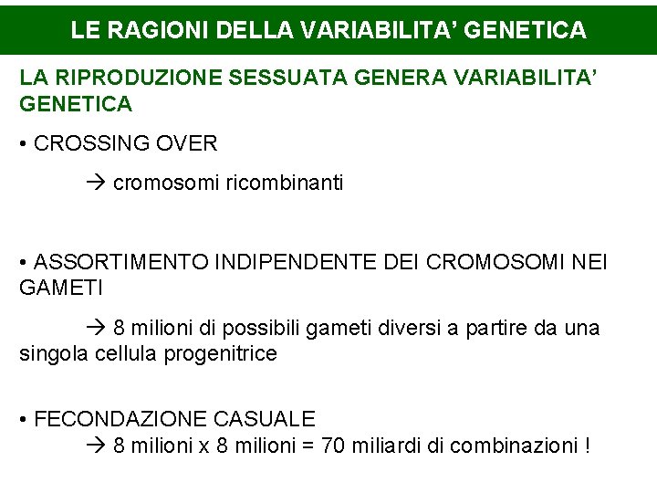 LE RAGIONI DELLA VARIABILITA’ GENETICA LA RIPRODUZIONE SESSUATA GENERA VARIABILITA’ GENETICA • CROSSING OVER