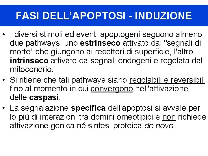 FASI DELL’APOPTOSI - INDUZIONE • I diversi stimoli ed eventi apoptogeni seguono almeno due