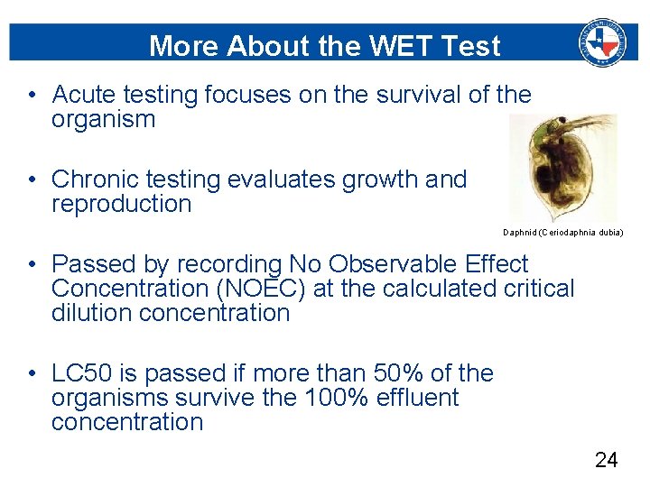 More About the WET Test • Acute testing focuses on the survival of the