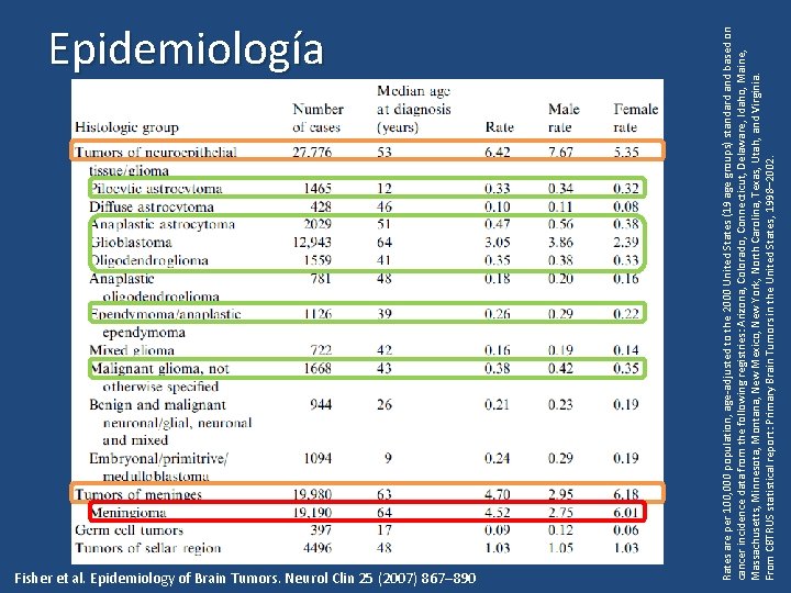 Fisher et al. Epidemiology of Brain Tumors. Neurol Clin 25 (2007) 867– 890 Rates