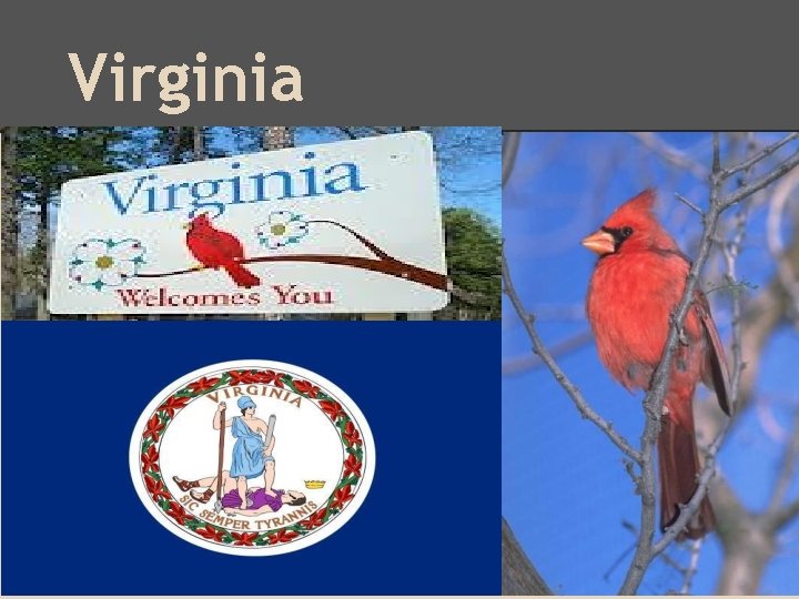 Virginia 