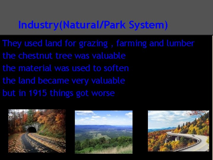 Industry(Natural/Park System) They used land for grazing , farming and lumber the chestnut tree