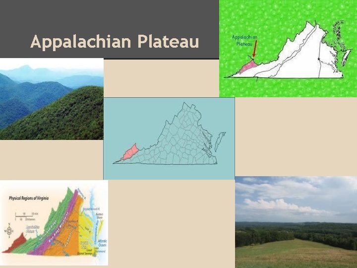 Appalachian Plateau 