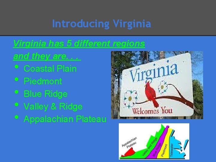 Introducing Virginia has 5 different regions and they are. . . Coastal Plain Piedmont