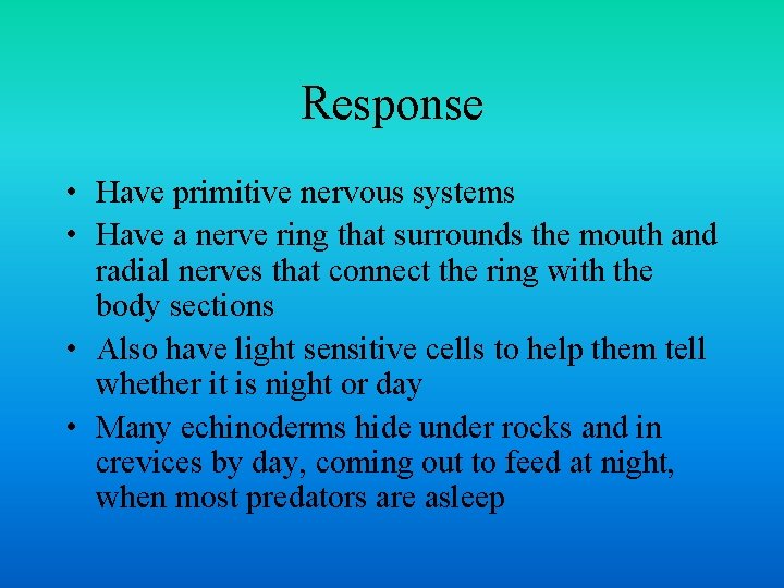 Response • Have primitive nervous systems • Have a nerve ring that surrounds the