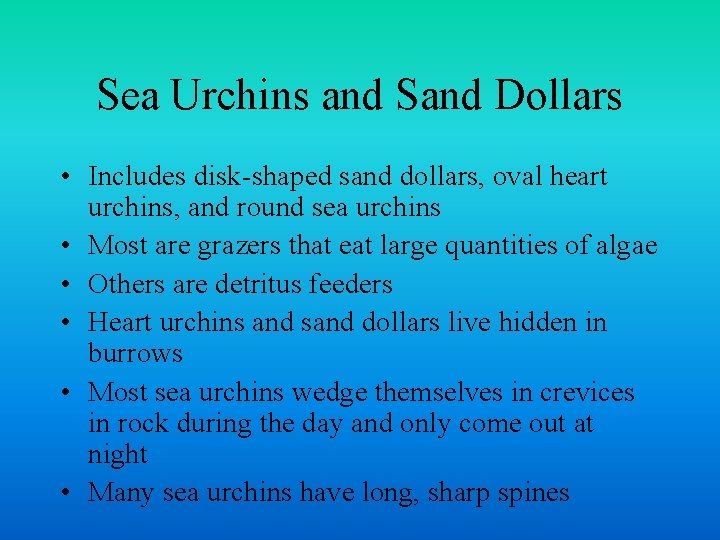 Sea Urchins and Sand Dollars • Includes disk-shaped sand dollars, oval heart urchins, and