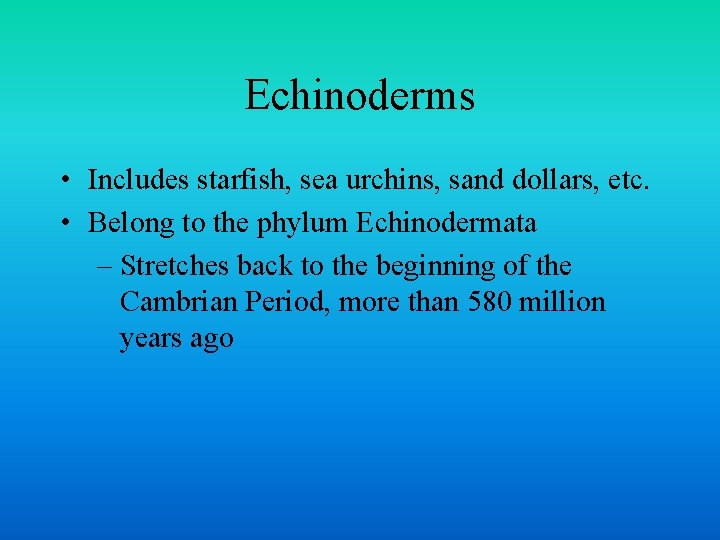 Echinoderms • Includes starfish, sea urchins, sand dollars, etc. • Belong to the phylum