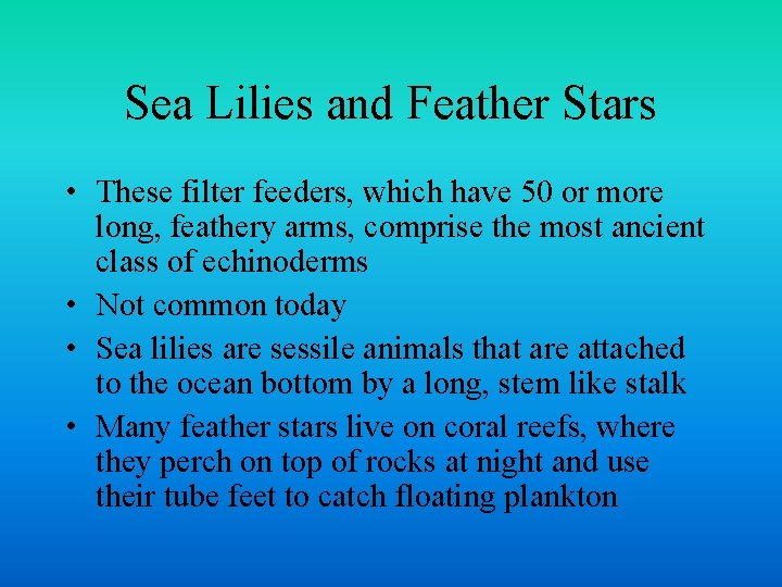 Sea Lilies and Feather Stars • These filter feeders, which have 50 or more