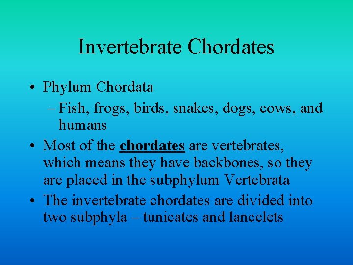 Invertebrate Chordates • Phylum Chordata – Fish, frogs, birds, snakes, dogs, cows, and humans