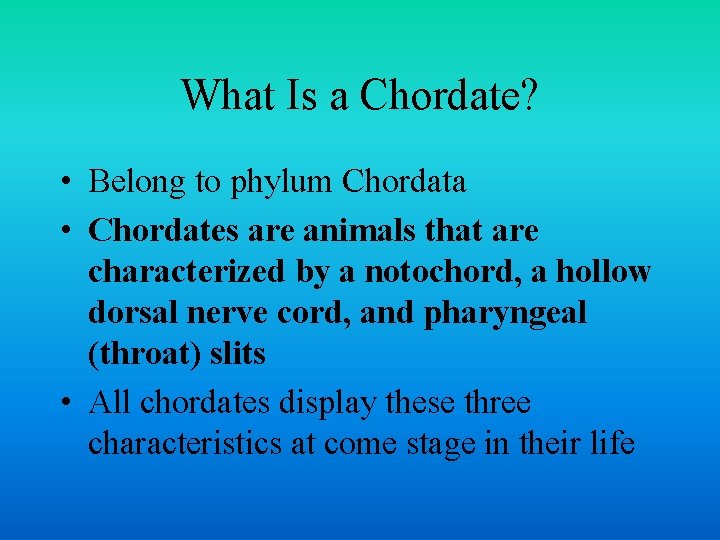 What Is a Chordate? • Belong to phylum Chordata • Chordates are animals that
