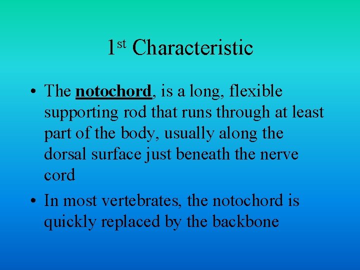 st 1 Characteristic • The notochord, is a long, flexible supporting rod that runs