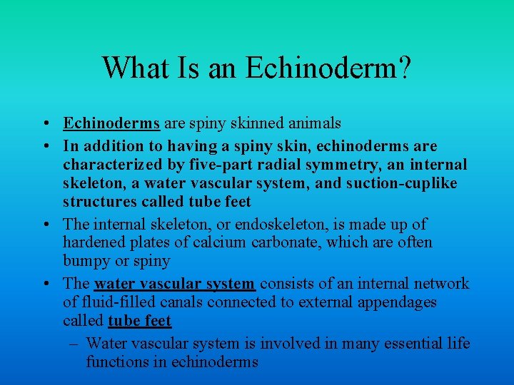 What Is an Echinoderm? • Echinoderms are spiny skinned animals • In addition to