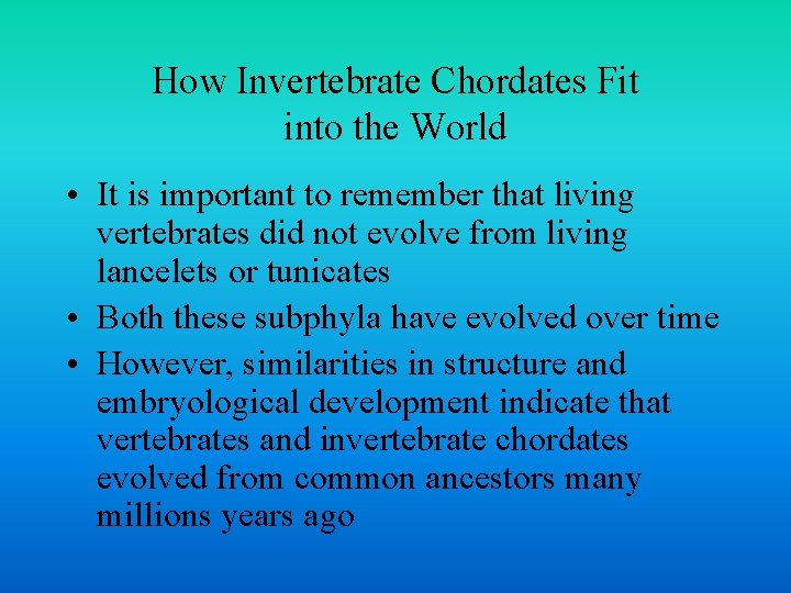 How Invertebrate Chordates Fit into the World • It is important to remember that