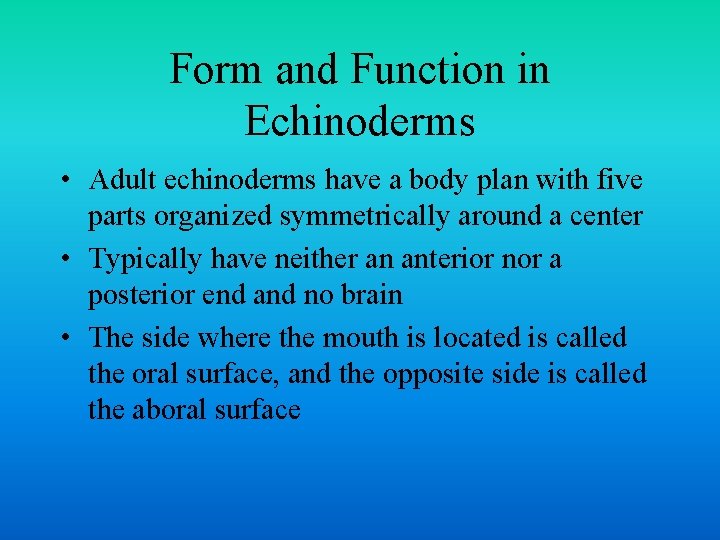 Form and Function in Echinoderms • Adult echinoderms have a body plan with five