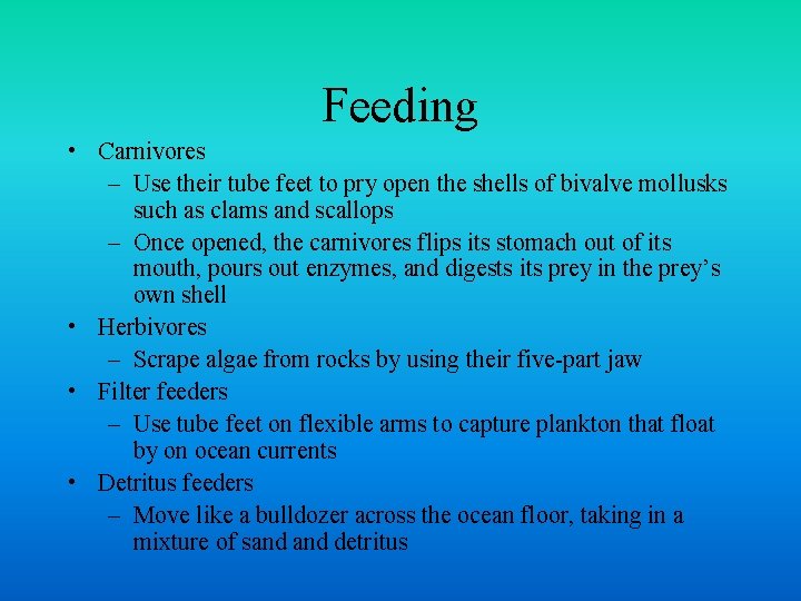 Feeding • Carnivores – Use their tube feet to pry open the shells of