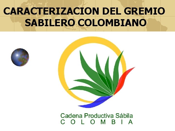 CARACTERIZACION DEL GREMIO SABILERO COLOMBIANO 