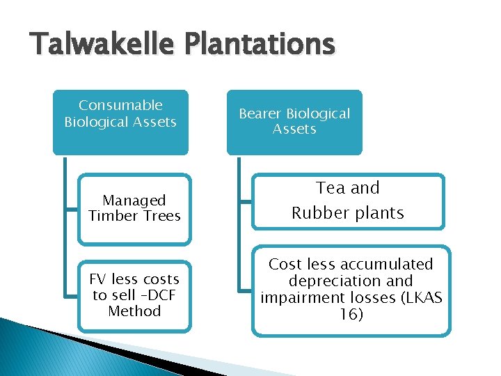 Talwakelle Plantations Consumable Biological Assets Bearer Biological Assets Tea and Managed Timber Trees Rubber