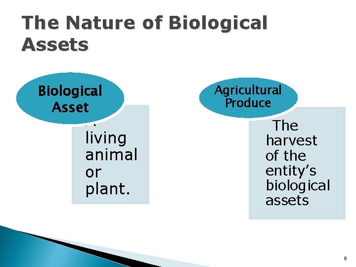 The Nature of Biological Assets Biological Asset A living animal or plant. Agricultural Produce