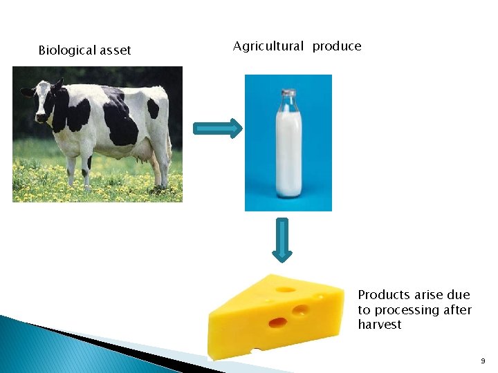 Biological asset Agricultural produce Products arise due to processing after harvest 9 