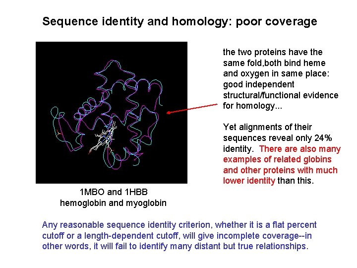 Sequence identity and homology: poor coverage the two proteins have the same fold, both