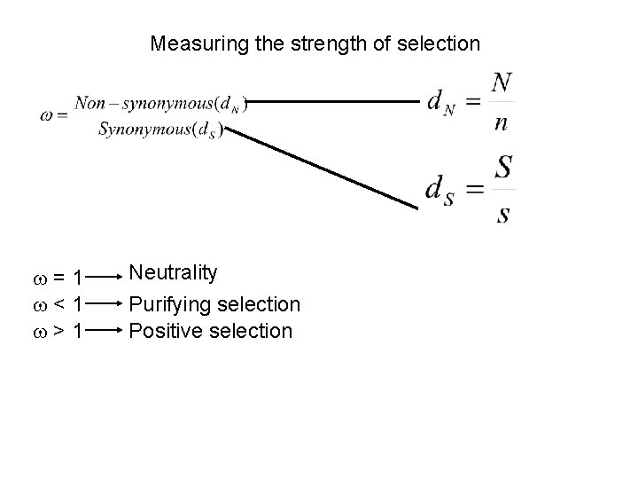 Measuring the strength of selection =1 <1 >1 Neutrality Purifying selection Positive selection 