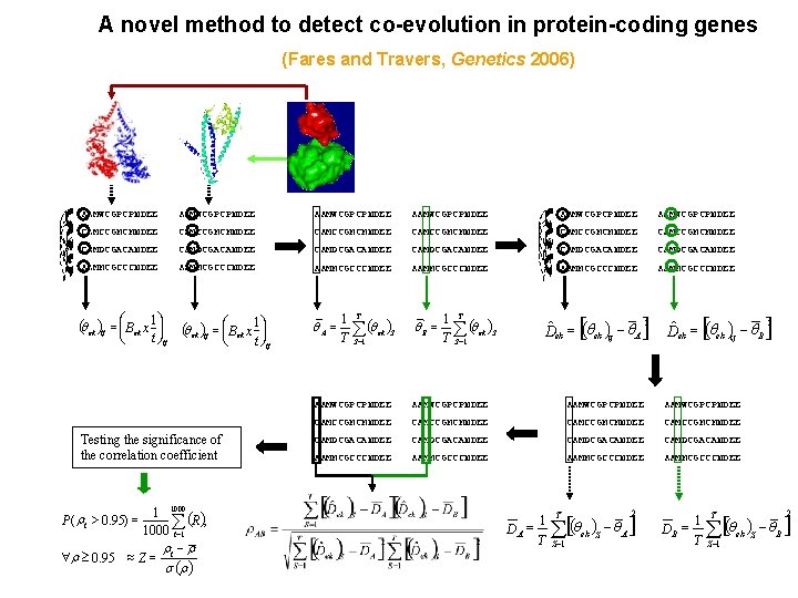 A novel method to detect co-evolution in protein-coding genes (Fares and Travers, Genetics 2006)