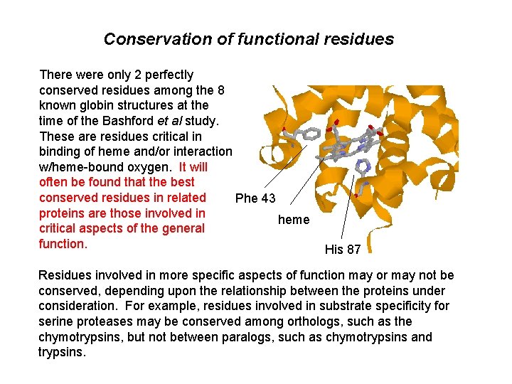 Conservation of functional residues There were only 2 perfectly conserved residues among the 8
