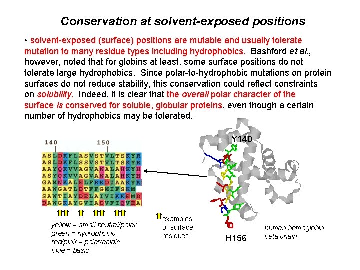 Conservation at solvent-exposed positions • solvent-exposed (surface) positions are mutable and usually tolerate mutation
