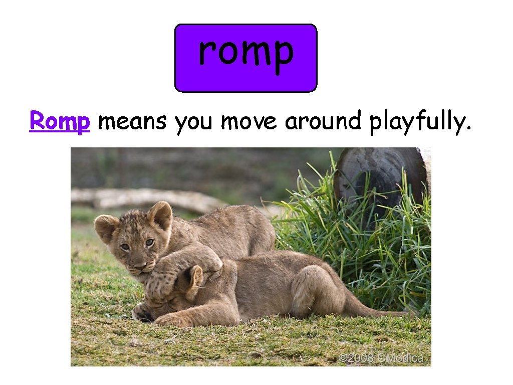 romp Romp means you move around playfully. 