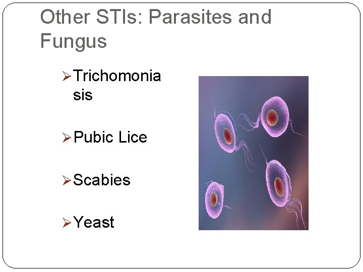 Other STIs: Parasites and Fungus ØTrichomonia sis ØPubic Lice ØScabies ØYeast 