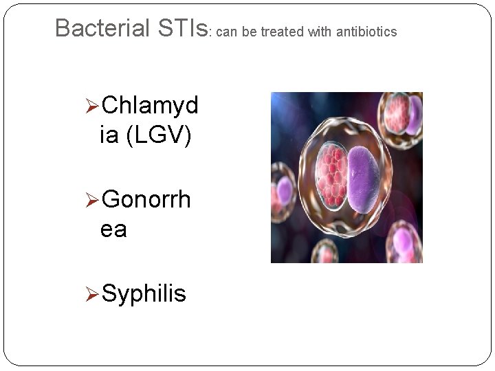 Bacterial STIs: can be treated with antibiotics ØChlamyd ia (LGV) ØGonorrh ea ØSyphilis 