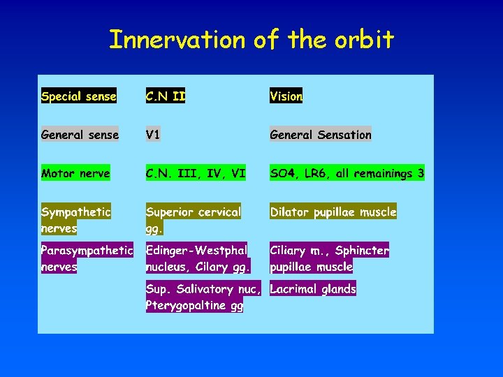 Innervation of the orbit 