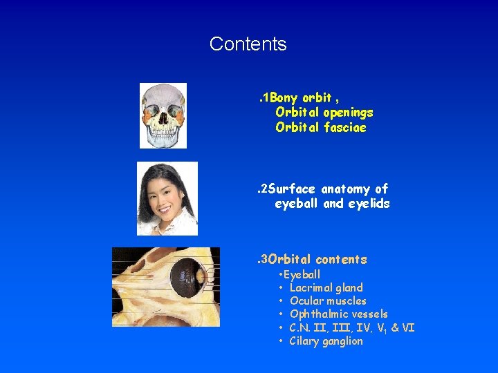 Contents. 1 Bony orbit , Orbital openings Orbital fasciae . 2 Surface anatomy of