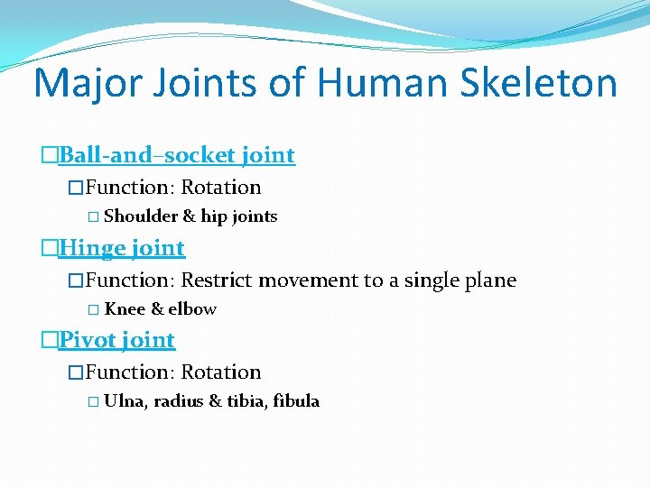 Major Joints of Human Skeleton �Ball-and–socket joint �Function: Rotation � Shoulder & hip joints