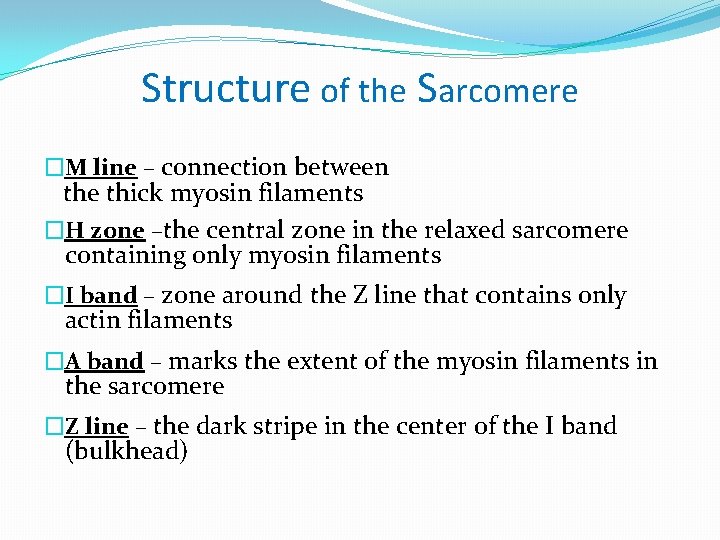 Structure of the Sarcomere �M line – connection between the thick myosin filaments �H