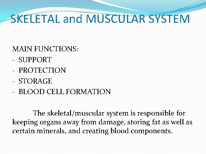 SKELETAL and MUSCULAR SYSTEM MAIN FUNCTIONS: - SUPPORT - PROTECTION - STORAGE - BLOOD