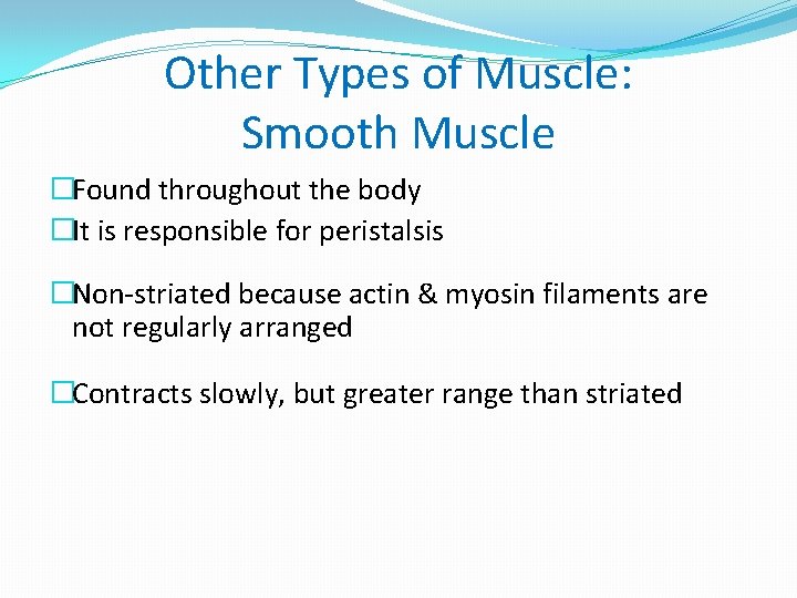 Other Types of Muscle: Smooth Muscle �Found throughout the body �It is responsible for