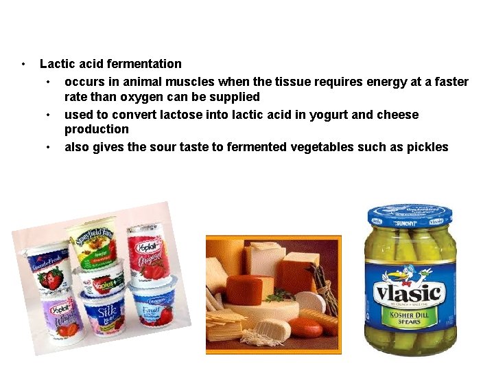  • Lactic acid fermentation • occurs in animal muscles when the tissue requires