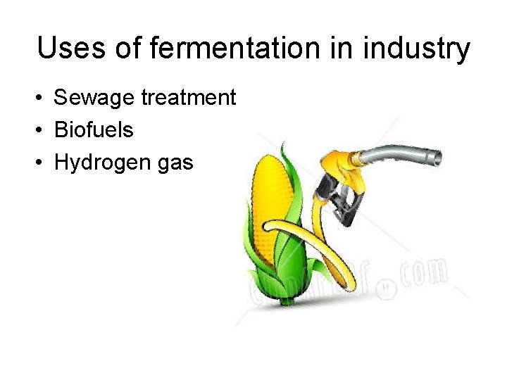 Uses of fermentation in industry • Sewage treatment • Biofuels • Hydrogen gas 