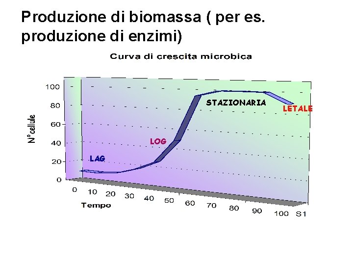 Produzione di biomassa ( per es. L‘obiettivo: la crescita produzione di enzimi) STAZIONARIA LOG