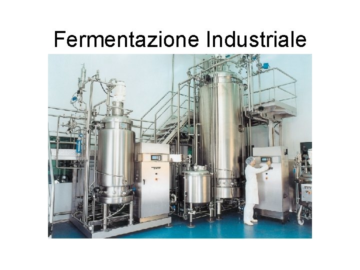 Fermentazione Industriale 