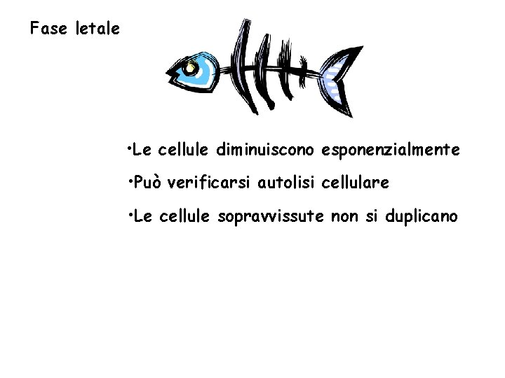 Fase letale • Le cellule diminuiscono esponenzialmente • Può verificarsi autolisi cellulare • Le