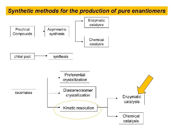 Synthetic methods for the production of pure enantiomers 