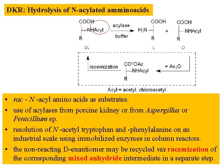 DKR: Hydrolysis of N-acylated amminoacids • rac - N -acyl amino acids as substrates.