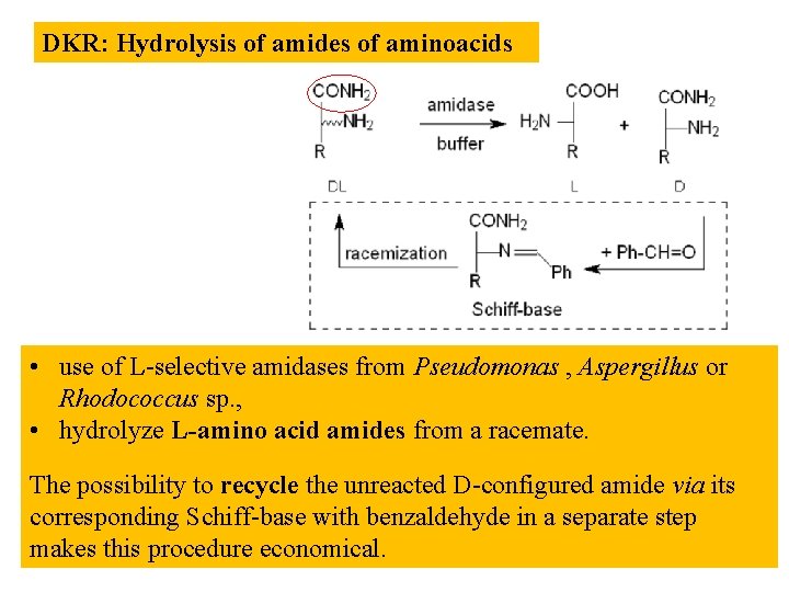 DKR: Hydrolysis of amides of aminoacids • use of L-selective amidases from Pseudomonas ,