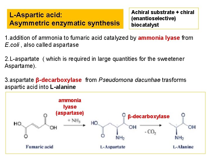 L-Aspartic acid: Asymmetric enzymatic synthesis Achiral substrate + chiral (enantioselective) biocatalyst 1. addition of
