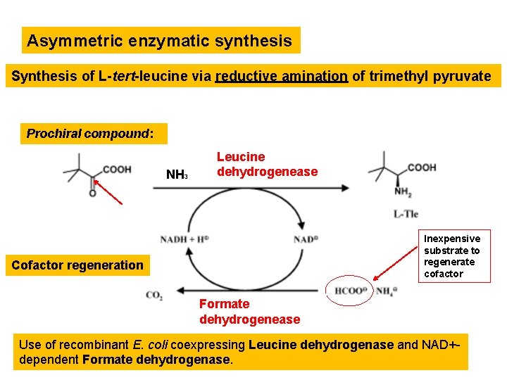 Asymmetric enzymatic synthesis Synthesis of L-tert-leucine via reductive amination of trimethyl pyruvate Prochiral compound: