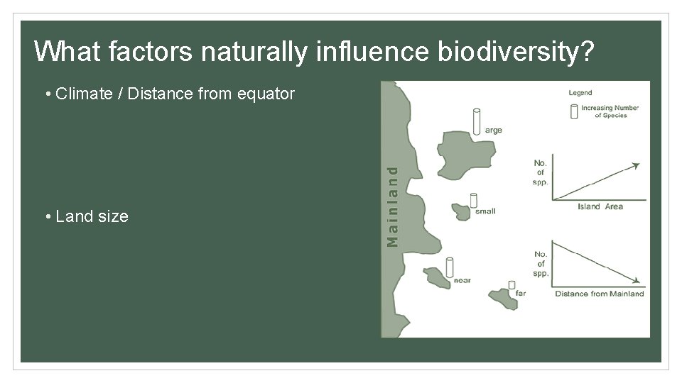 What factors naturally influence biodiversity? • Climate / Distance from equator • Land size