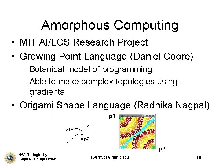 Amorphous Computing • MIT AI/LCS Research Project • Growing Point Language (Daniel Coore) –