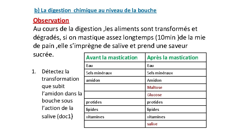b) La digestion chimique au niveau de la bouche Observation Au cours de la b) La digestion chimique au niveau de la bouche Observation Au cours de la